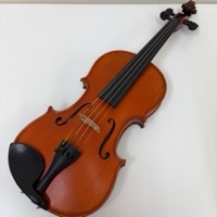 GLIGA VASILE 2013年 ヴァイオリン 弦楽器 バイオリン ケース付き 肩当て付き