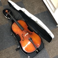 チェロ Cario Giordano SC-80 12 J.W.EASTMAN ハードケース 弓 カルロジョルダーノ イーストマン